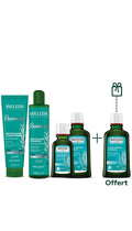 Routine capillaire complète romarin - lotion offerte - 1